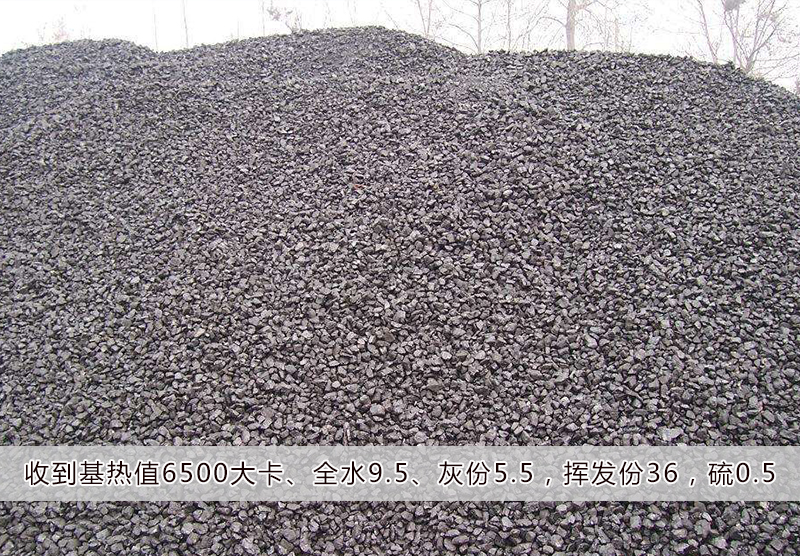 24籽煤